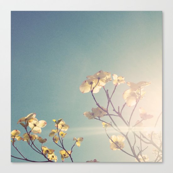 White Light Canvas Print
