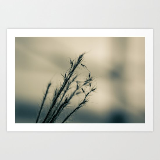 A Winter Story Art Print