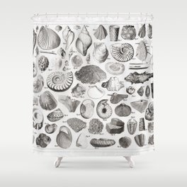 1857 Diagram Paleontology: Fossils Shower Curtain
