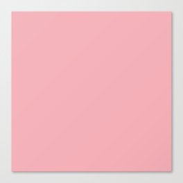 Blush Pink Canvas Print