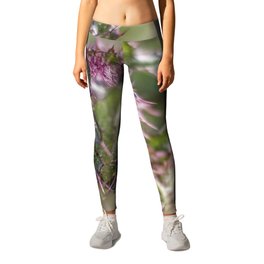 Thistle Plant Leggings | Mixinmadness, Scotland, Thistle, Spear, Cure, Insignia, Liver, Spray, Well Being, Bristle 
