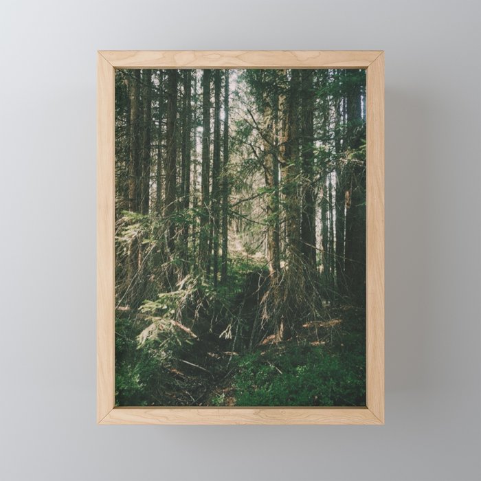 Nordic Woodland  Framed Mini Art Print