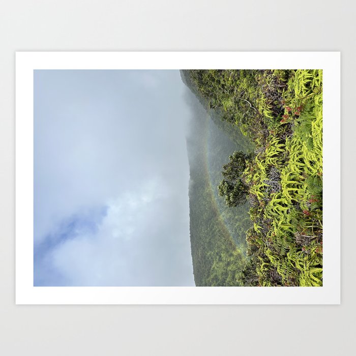 Rainforest Rainbow Art Print