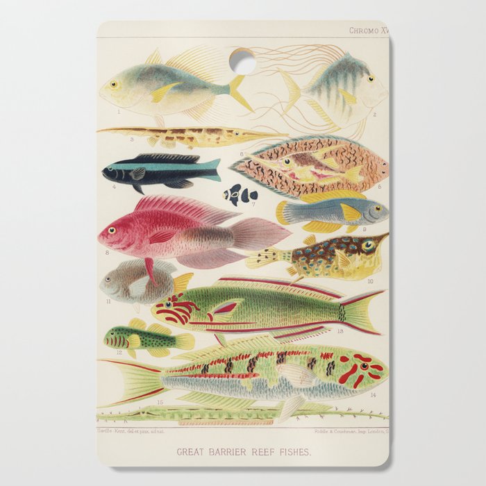 Great Barrier Reef Fish Illustration by William Saville-Kent, 1893 Cutting Board