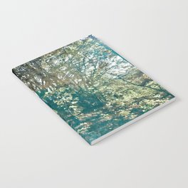 Aqua blue forest 2 Notebook
