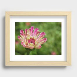 Georgia Wildflower Recessed Framed Print