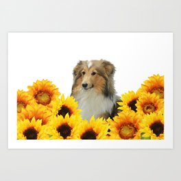 Collie Dog Sunflowers Art Print