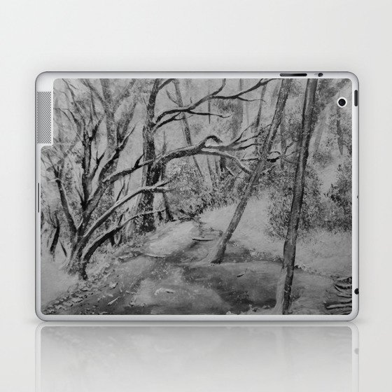 Snowy River Bed Black and White Laptop & iPad Skin