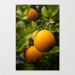 Hybrid Orange Canvas Print