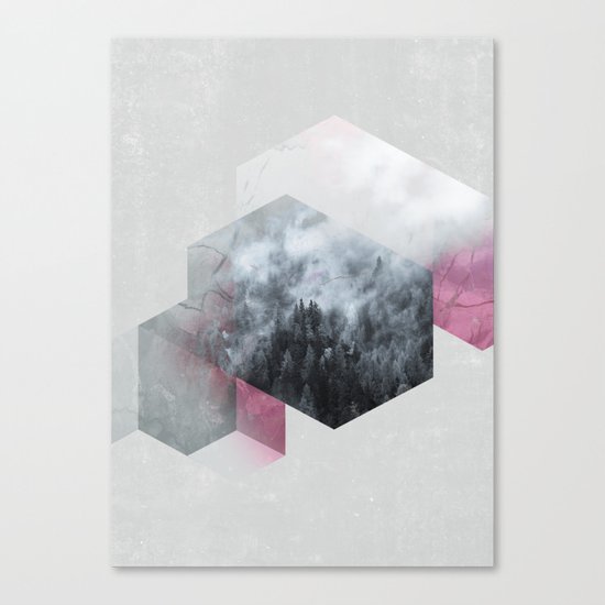 Exagonal Winter Canvas Print