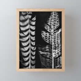 Photogram of Feathers Framed Mini Art Print