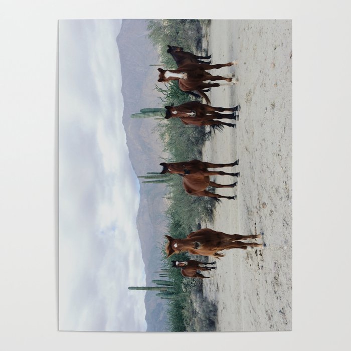 Bahía de los Ángeles Wild Horses Poster