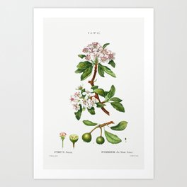 Flowers 75 Art Print