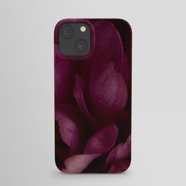 Botanical Vibrance 7 iPhone Case