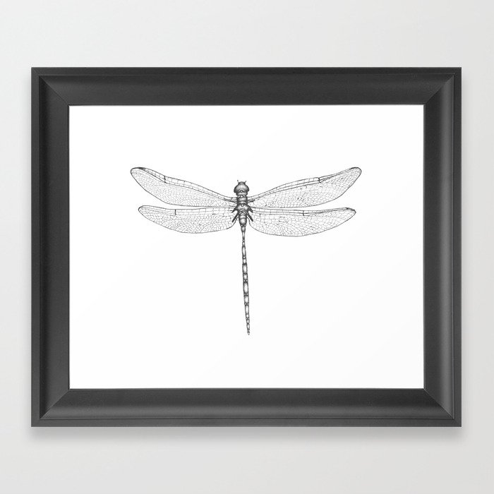 Dragonfly Wings Framed Art Print