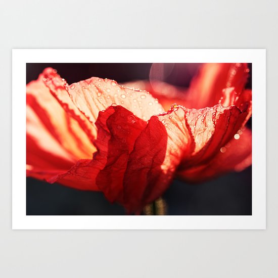Passion - Expressionistic red poppy macro photo Art Print