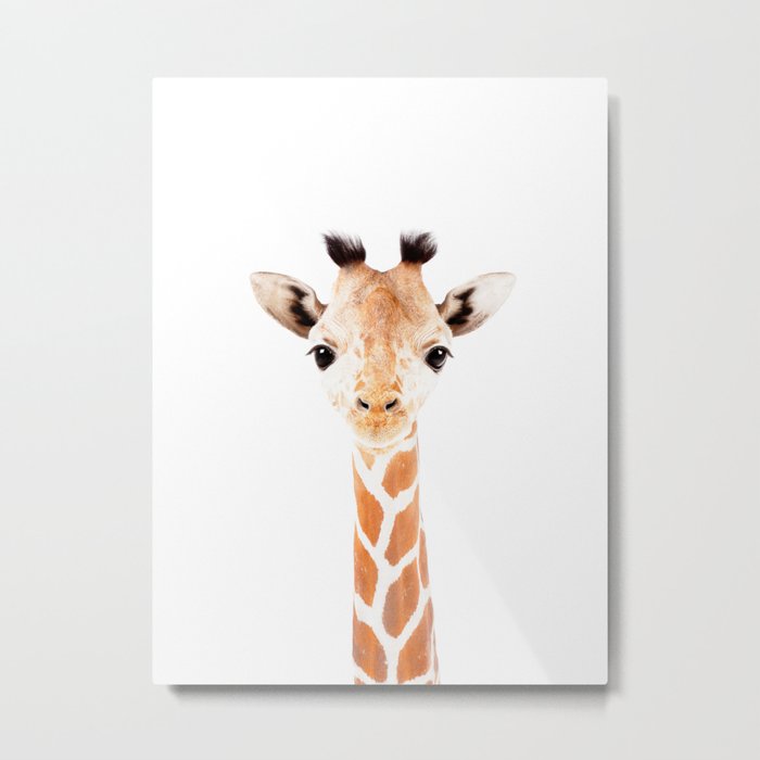 Baby Giraffe Nursery  Metal Print