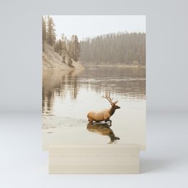 Yellowstone Elk Mini Art Print