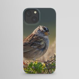 Perching with Attitude iPhone Case