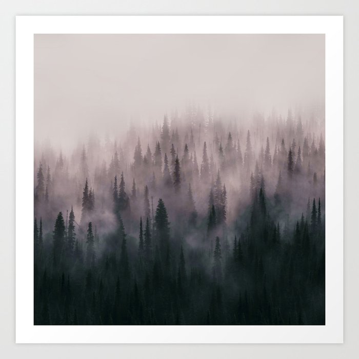 Pine Tree Fantasy Forest Landscape V 2 Art Print By Jcdesigning
