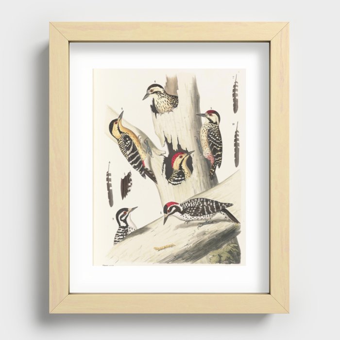 Recessed Framed Print