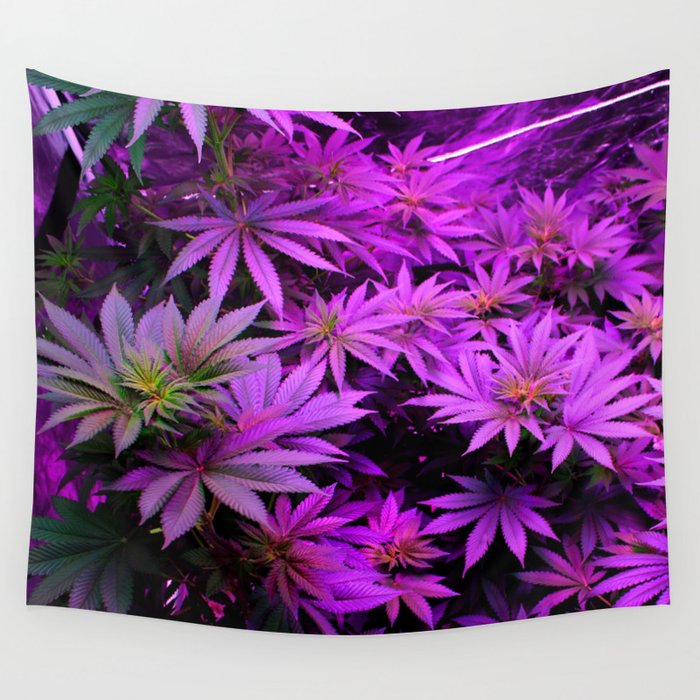 Tapestry with led on sale lights