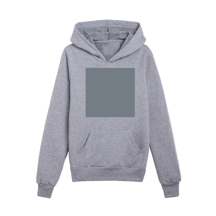 Muted Mid tone Blue Gray Solid Color Pairs 2023 Trending Hue Dutch
