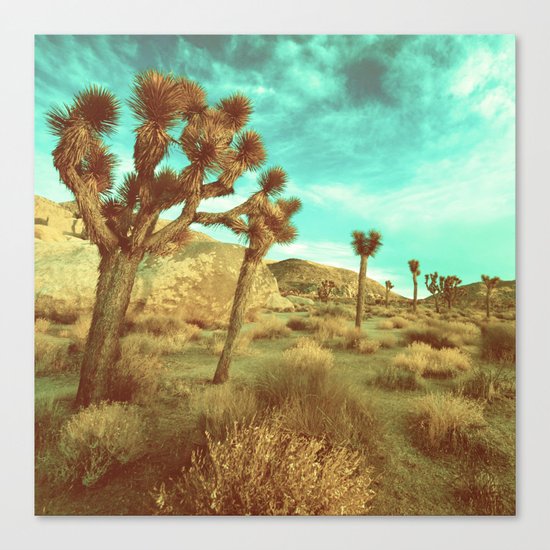 Desert Cactus Canvas Print