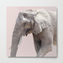 Elephant Dusty Pink Metal Print | Africanwildlife, Image, Minimalism, Africanart, Photo, Elephantphotography, Fineart, Beautiful, Animal, Elephant 