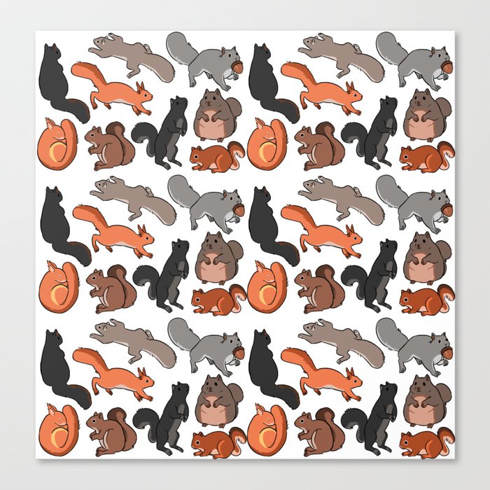 squirrels Canvas Print