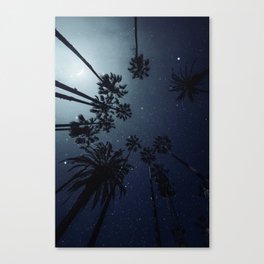 Palm Trees, Night Sky, Stars, Moon Canvas Print