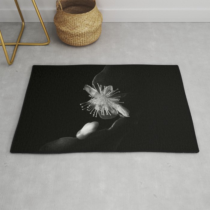 Minimalistic Black and white photography of a cactus flower Rug