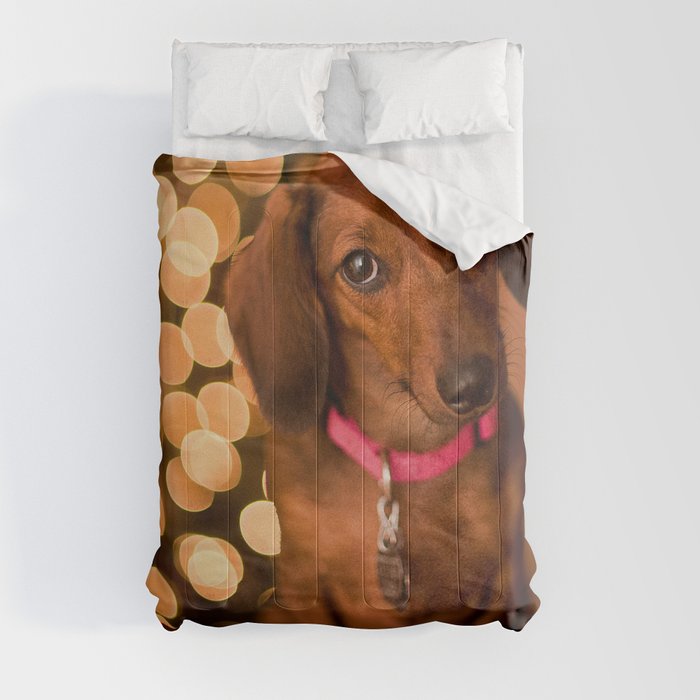 Dachshund Christmas Comforter