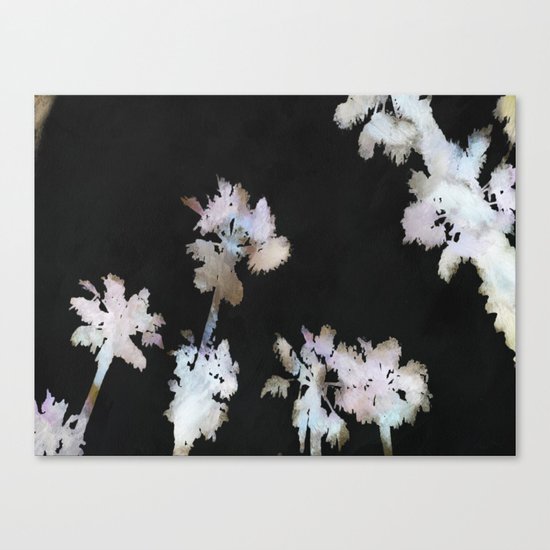 Tropical Palms On Black Background Canvas Print
