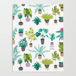 Potted Plant Illustration Poster