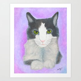 Cat Art - Spark the Cat  Art Print
