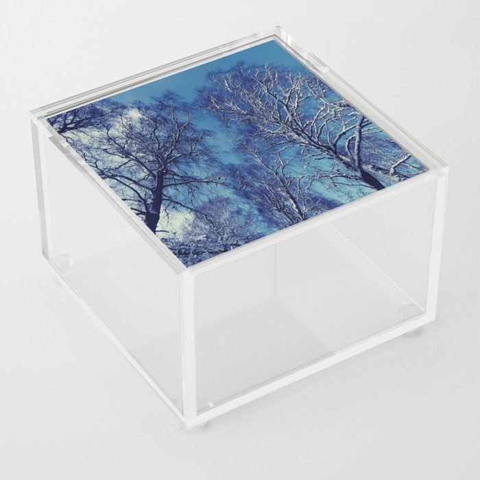 Dark Snow Laden Trees of the Scottish Highlands Acrylic Box