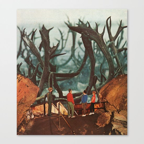 watching elk Canvas Print