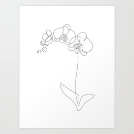 White Orchid / Single line drawing of a orchid plant / Explicit Design  Art Print