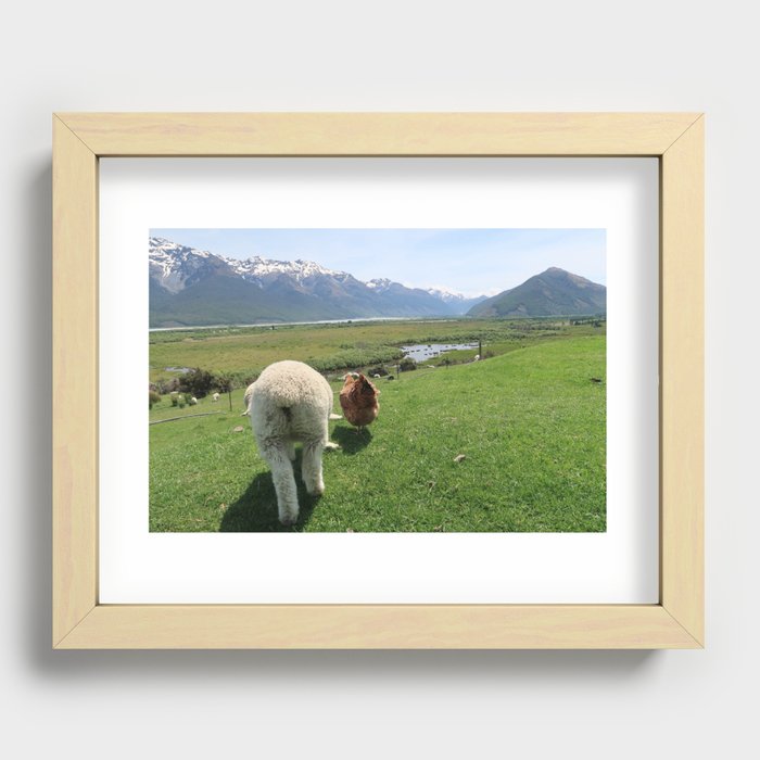Buddies (Photograph of Lamb and Chicken) Recessed Framed Print