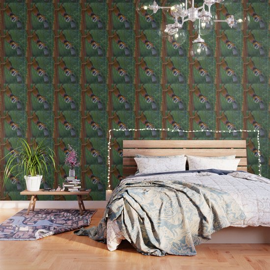 Bandit Wallpaper By Vividperceptions Society6