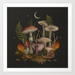 Autumn Mushrooms Art Print