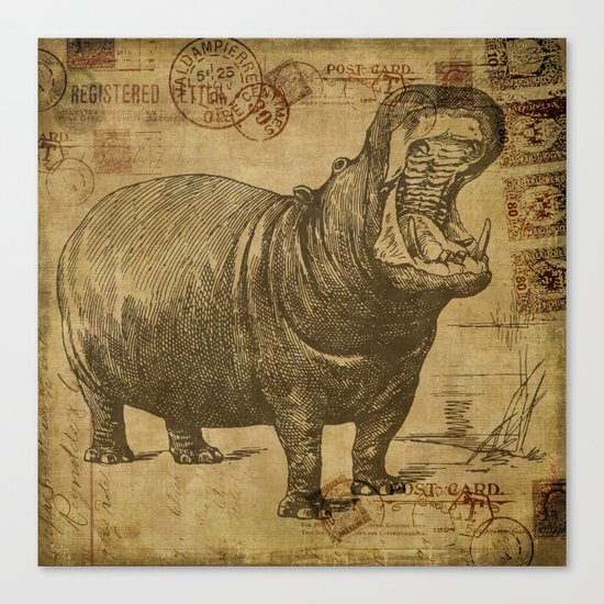 Vintage retro Hippo wildlife animal africa Canvas Print
