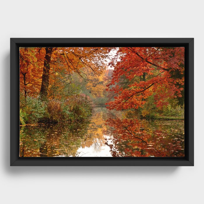 Framed Canvas