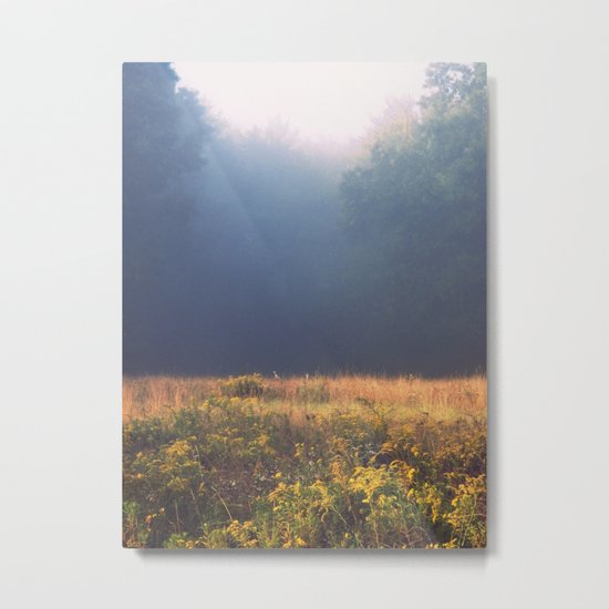 Mother Nature's Palette Metal Print