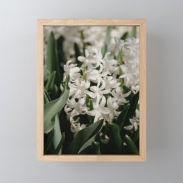 White Hyacinth I Framed Mini Art Print