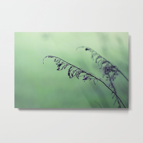 Branches Metal Print