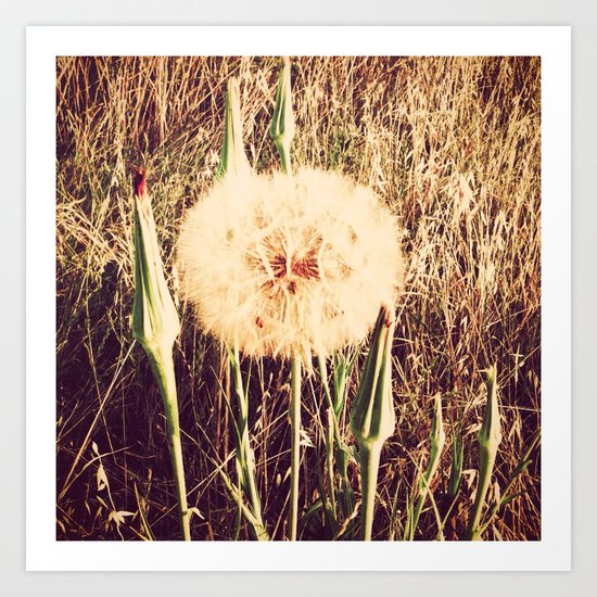 Wishful Thinking Art Print