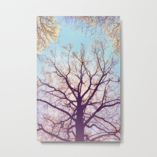IN THE CROWNS Metal Print