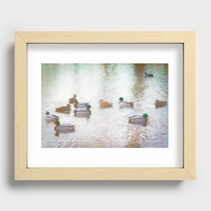 Duck Pond Recessed Framed Print